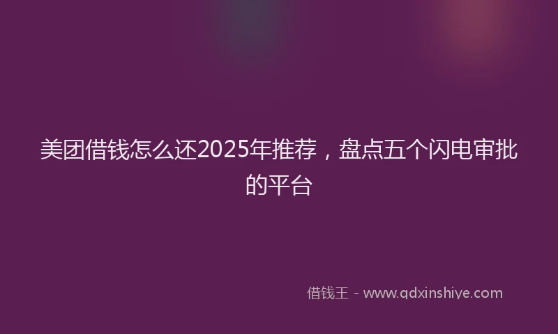 美团借钱怎么还2025年推荐，盘点五个闪电审批的平台