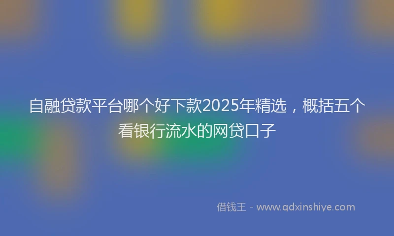 自融贷款平台哪个好下款2025年精选，概括五个看银行流水的网贷口子