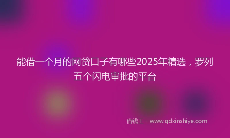 能借一个月的网贷口子有哪些2025年精选，罗列五个闪电审批的平台