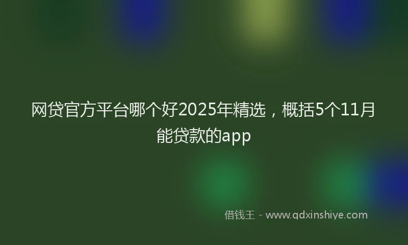 网贷官方平台哪个好2025年精选，概括5个11月能贷款的app