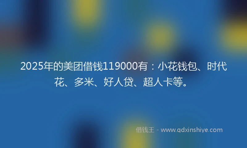 2025年的美团借钱119000有：小花钱包、时代花、多米、好人贷、超人卡等。
