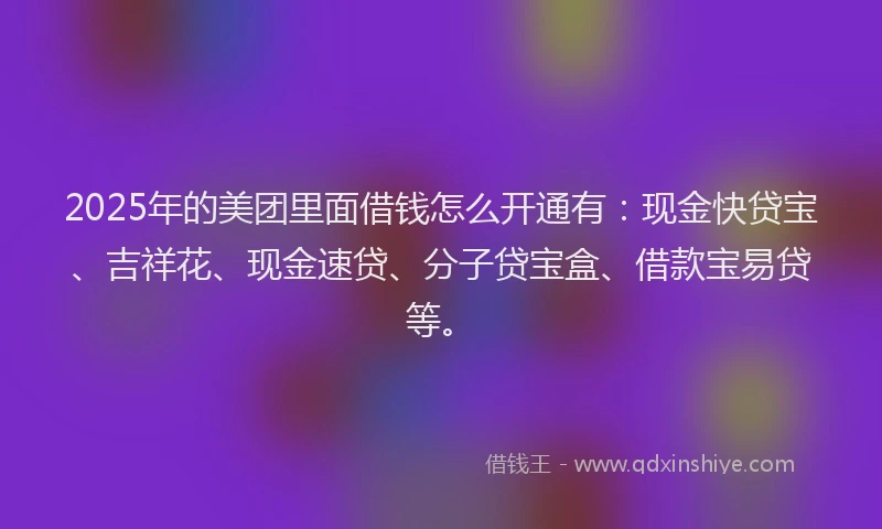 2025年的美团里面借钱怎么开通有：现金快贷宝、吉祥花、现金速贷、分子贷宝盒、借款宝易贷等。