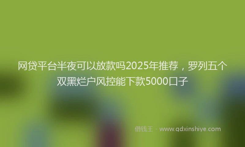 网贷平台半夜可以放款吗2025年推荐，罗列五个双黑烂户风控能下款5000口子