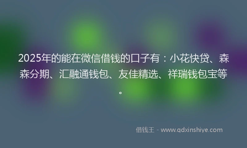 2025年的能在微信借钱的口子有：小花快贷、森森分期、汇融通钱包、友佳精选、祥瑞钱包宝等。