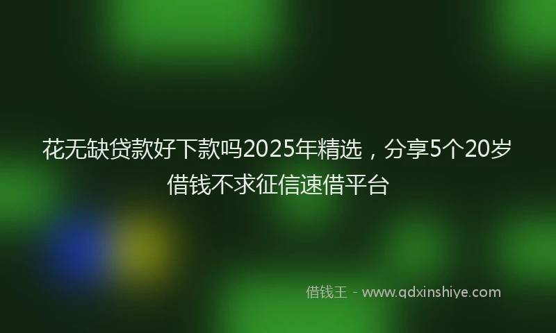 花无缺贷款好下款吗2025年精选，分享5个20岁借钱不求征信速借平台