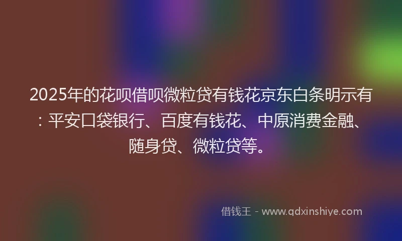 2025年的花呗借呗微粒贷有钱花京东白条明示有：平安口袋银行、百度有钱花、中原消费金融、随身贷、微粒贷等。