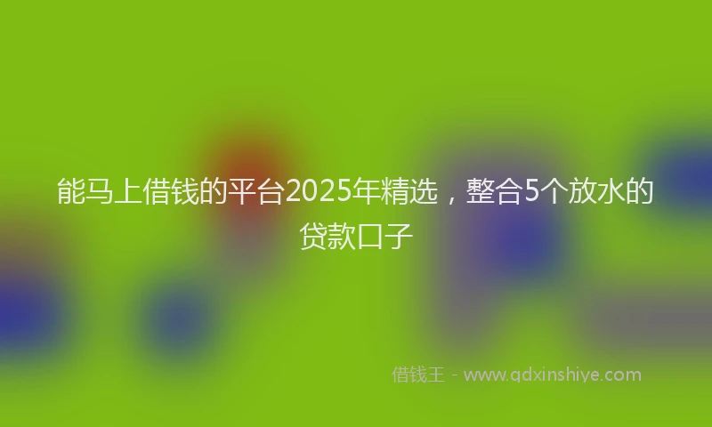 能马上借钱的平台2025年精选，整合5个放水的贷款口子