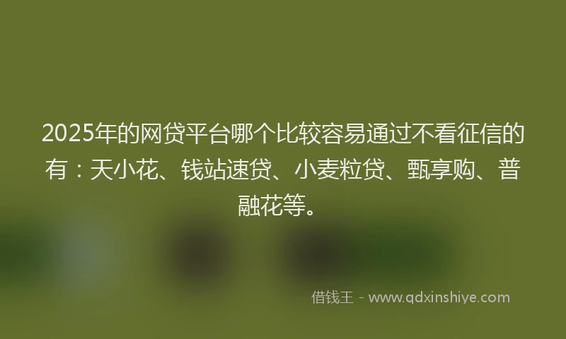 2025年的网贷平台哪个比较容易通过不看征信的有：天小花、钱站速贷、小麦粒贷、甄享购、普融花等。
