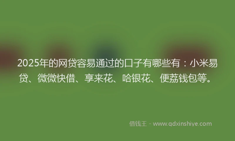 2025年的网贷容易通过的口子有哪些有：小米易贷、微微快借、享来花、哈银花、便荔钱包等。