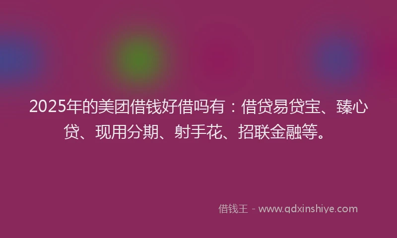 2025年的美团借钱好借吗有：借贷易贷宝、臻心贷、现用分期、射手花、招联金融等。