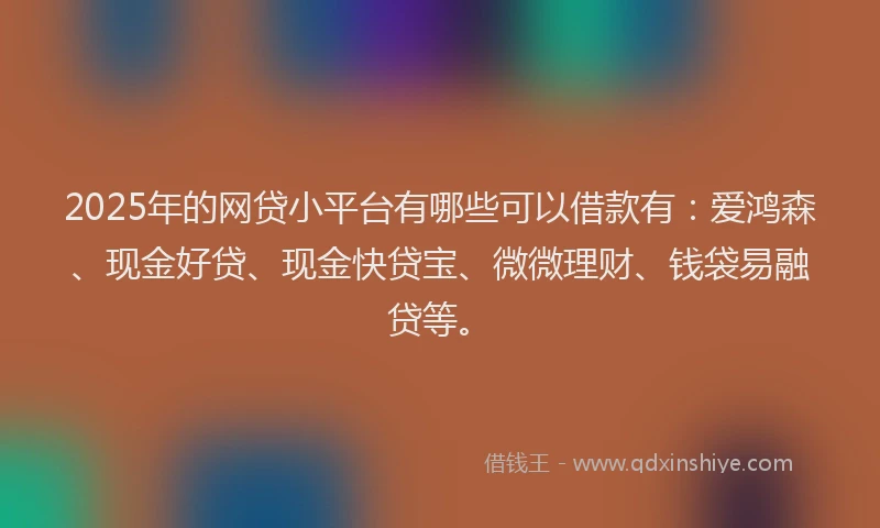 2025年的网贷小平台有哪些可以借款有：爱鸿森、现金好贷、现金快贷宝、微微理财、钱袋易融贷等。
