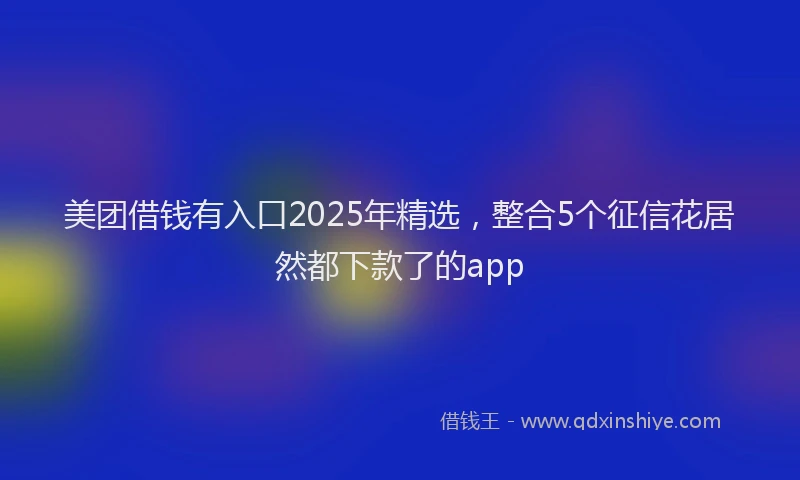 美团借钱有入口2025年精选，整合5个征信花居然都下款了的app