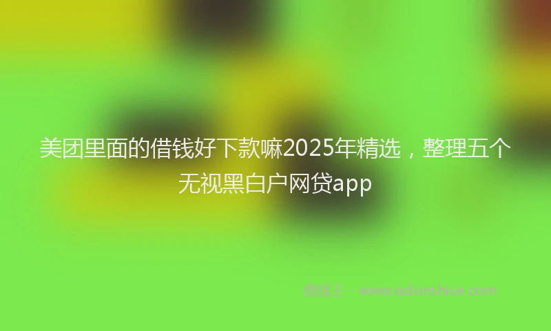 美团里面的借钱好下款嘛2025年精选，整理五个无视黑白户网贷app