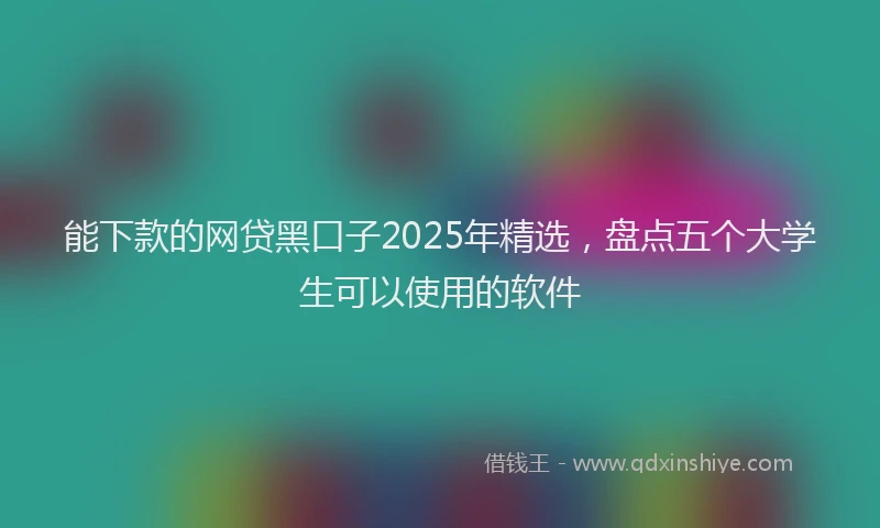 能下款的网贷黑口子2025年精选，盘点五个大学生可以使用的软件