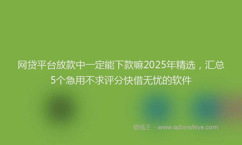 网贷平台放款中一定能下款嘛2025年精选，汇总5个急用不求评分快借无忧的软件