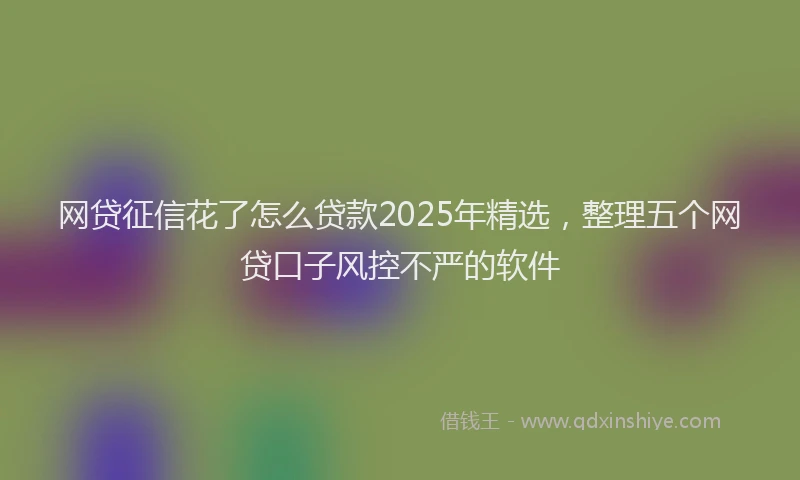 网贷征信花了怎么贷款2025年精选，整理五个网贷口子风控不严的软件