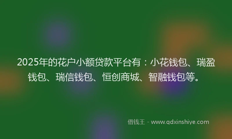 2025年的花户小额贷款平台有：小花钱包、瑞盈钱包、瑞信钱包、恒创商城、智融钱包等。