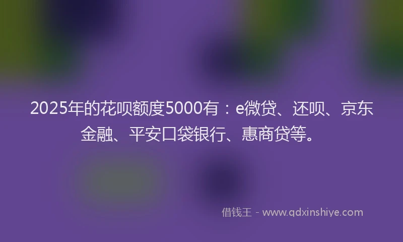 2025年的花呗额度5000有：e微贷、还呗、京东金融、平安口袋银行、惠商贷等。