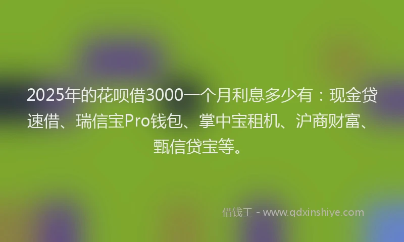 2025年的花呗借3000一个月利息多少有：现金贷速借、瑞信宝Pro钱包、掌中宝租机、沪商财富、甄信贷宝等。