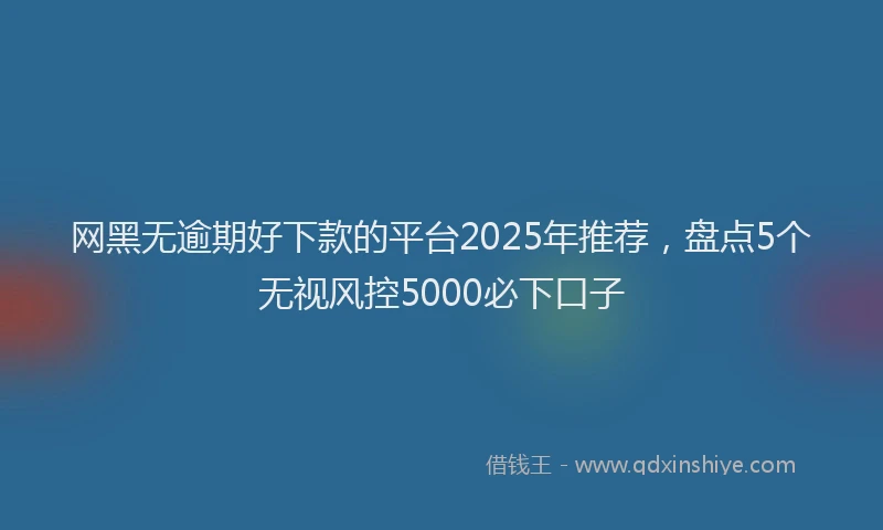 网黑无逾期好下款的平台2025年推荐，盘点5个无视风控5000必下口子