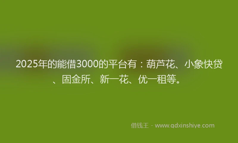 2025年的能借3000的平台有：葫芦花、小象快贷、固金所、新一花、优一租等。