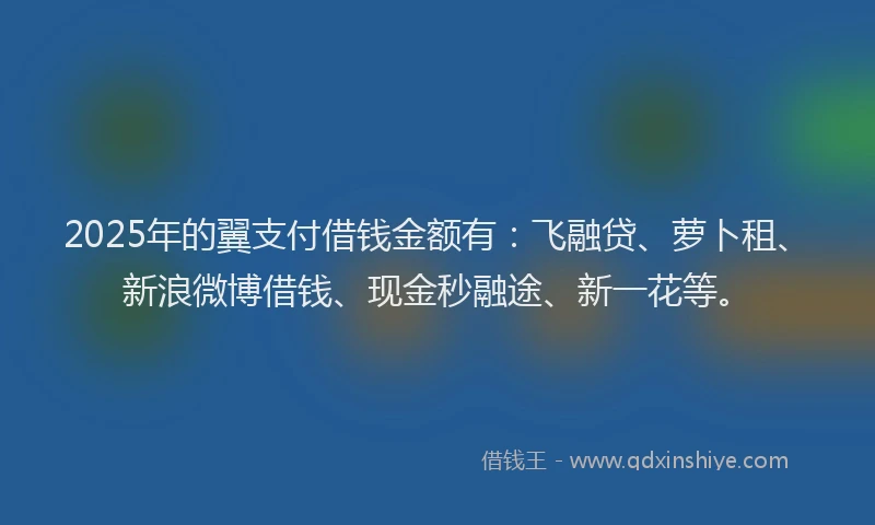 2025年的翼支付借钱金额有：飞融贷、萝卜租、新浪微博借钱、现金秒融途、新一花等。