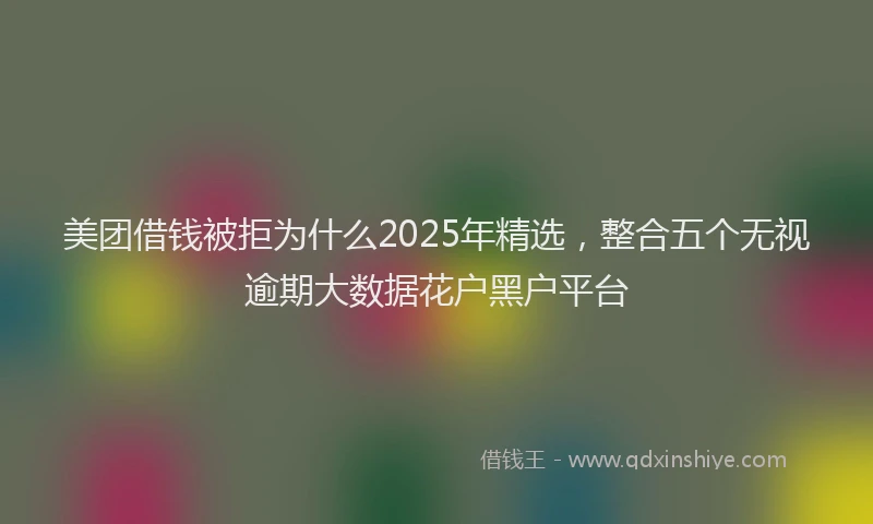 美团借钱被拒为什么2025年精选，整合五个无视逾期大数据花户黑户平台