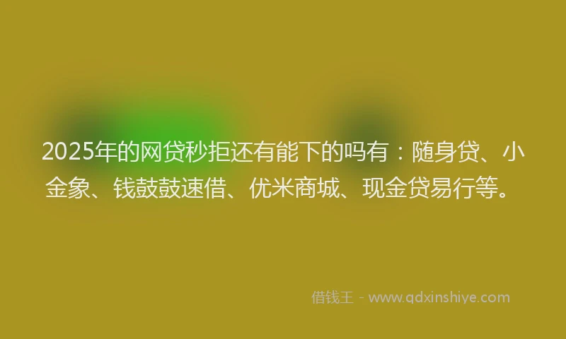 2025年的网贷秒拒还有能下的吗有：随身贷、小金象、钱鼓鼓速借、优米商城、现金贷易行等。