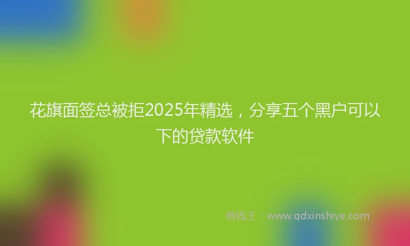 花旗面签总被拒2025年精选，分享五个黑户可以下的贷款软件