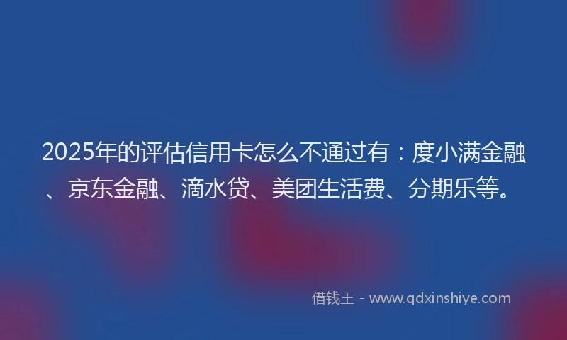 2025年的评估信用卡怎么不通过有：度小满金融、京东金融、滴水贷、美团生活费、分期乐等。