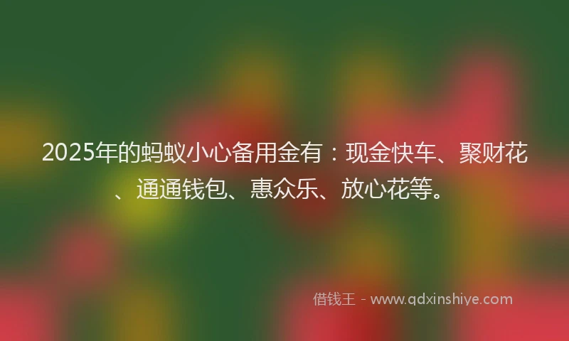 2025年的蚂蚁小心备用金有：现金快车、聚财花、通通钱包、惠众乐、放心花等。