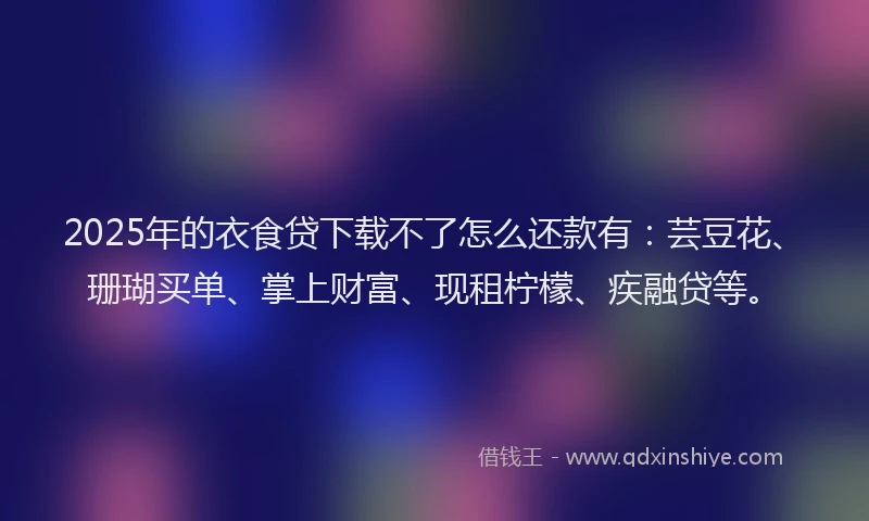 2025年的衣食贷下载不了怎么还款有：芸豆花、珊瑚买单、掌上财富、现租柠檬、疾融贷等。