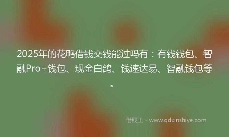 2025年的花鸭借钱交钱能过吗有：有钱钱包、智融Pro+钱包、现金白鸽、钱速达易、智融钱包等。