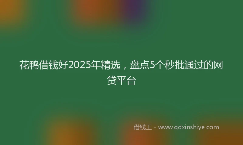花鸭借钱好2025年精选，盘点5个秒批通过的网贷平台