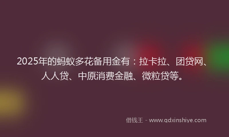 2025年的蚂蚁多花备用金有：拉卡拉、团贷网、人人贷、中原消费金融、微粒贷等。