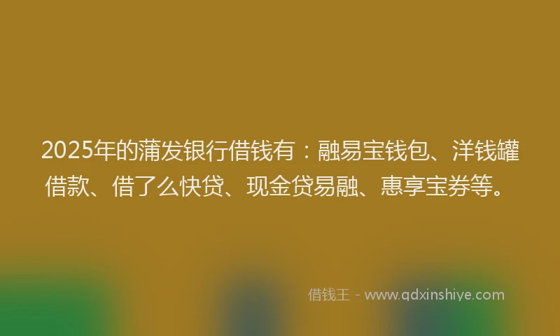 2025年的蒲发银行借钱有：融易宝钱包、洋钱罐借款、借了么快贷、现金贷易融、惠享宝券等。