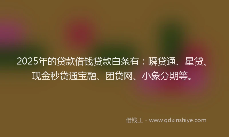 2025年的贷款借钱贷款白条有：瞬贷通、星贷、现金秒贷通宝融、团贷网、小象分期等。