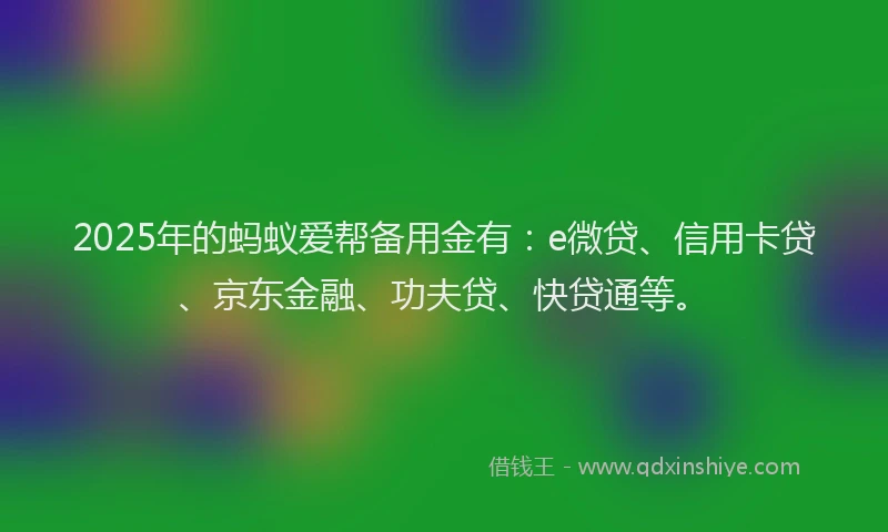 2025年的蚂蚁爱帮备用金有：e微贷、信用卡贷、京东金融、功夫贷、快贷通等。