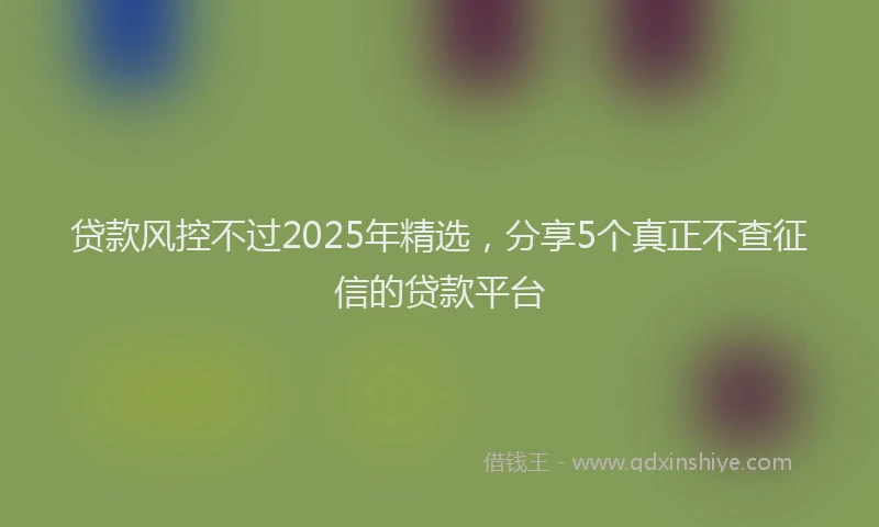 贷款风控不过2025年精选，分享5个真正不查征信的贷款平台
