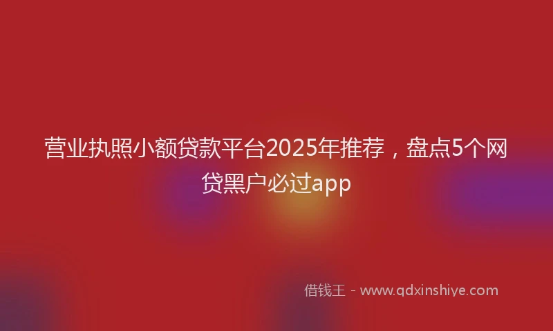 营业执照小额贷款平台2025年推荐，盘点5个网贷黑户必过app