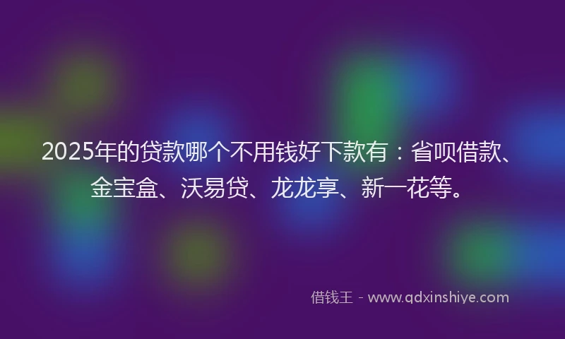 2025年的贷款哪个不用钱好下款有：省呗借款、金宝盒、沃易贷、龙龙享、新一花等。