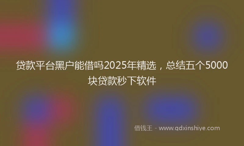 贷款平台黑户能借吗2025年精选，总结五个5000块贷款秒下软件