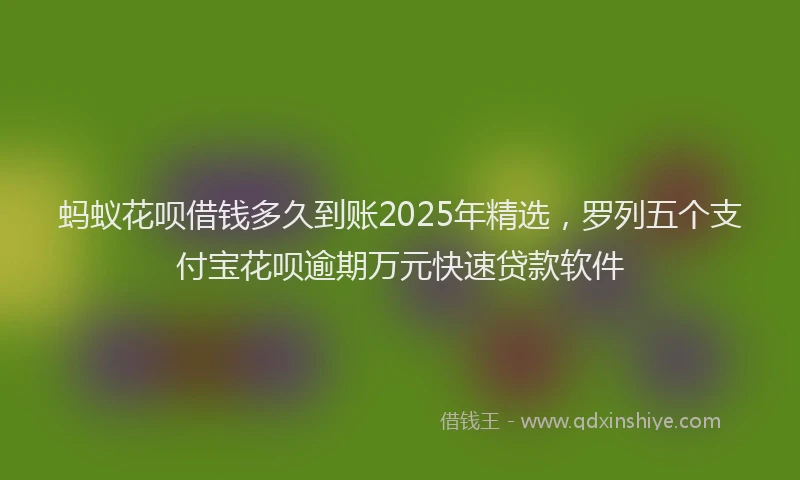 蚂蚁花呗借钱多久到账2025年精选，罗列五个支付宝花呗逾期万元快速贷款软件