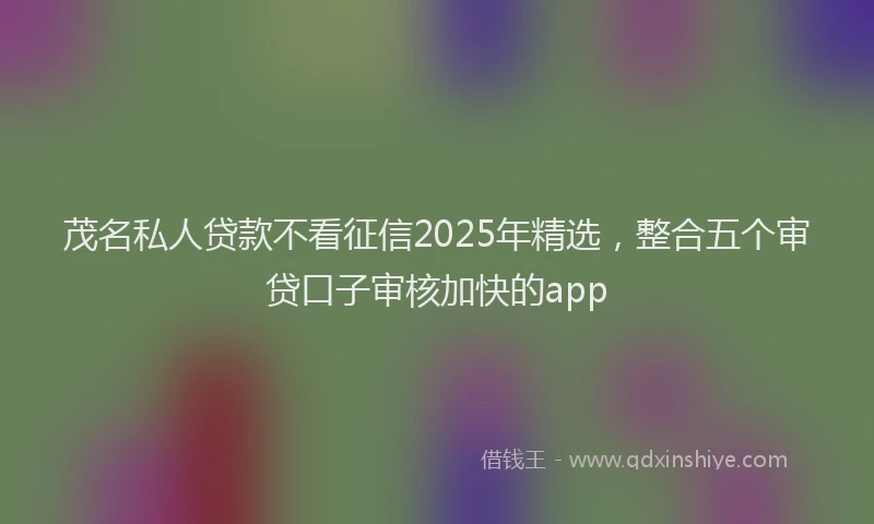 茂名私人贷款不看征信2025年精选，整合五个审贷口子审核加快的app