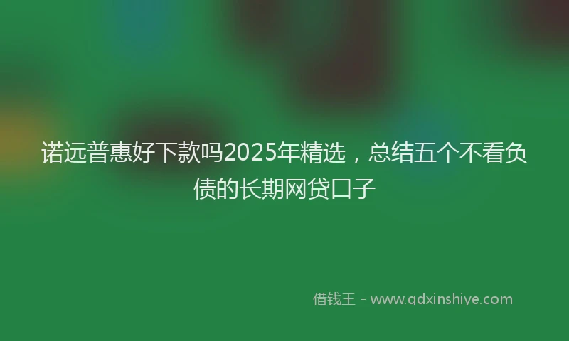 诺远普惠好下款吗2025年精选，总结五个不看负债的长期网贷口子