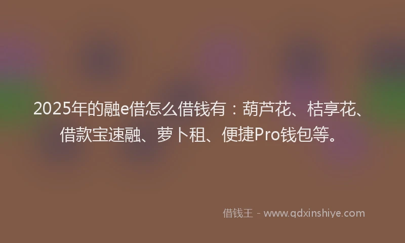 2025年的融e借怎么借钱有：葫芦花、桔享花、借款宝速融、萝卜租、便捷Pro钱包等。