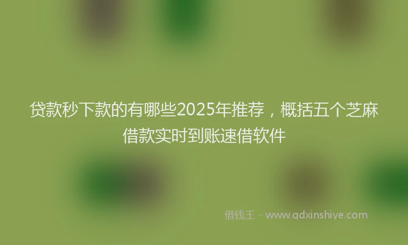 贷款秒下款的有哪些2025年推荐，概括五个芝麻借款实时到账速借软件