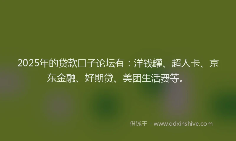 2025年的贷款口子论坛有：洋钱罐、超人卡、京东金融、好期贷、美团生活费等。