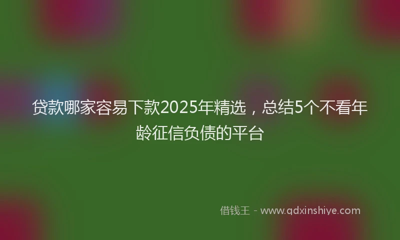 贷款哪家容易下款2025年精选，总结5个不看年龄征信负债的平台