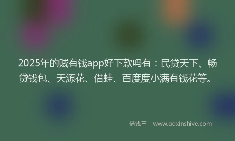 2025年的贼有钱app好下款吗有：民贷天下、畅贷钱包、天源花、借蛙、百度度小满有钱花等。